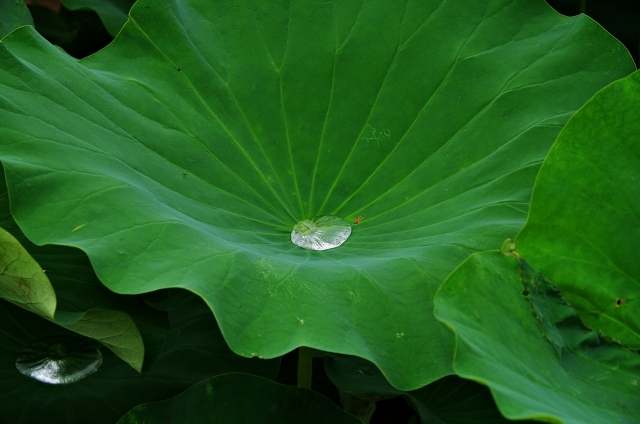 【Blog】外壁仕上げ材　Sto